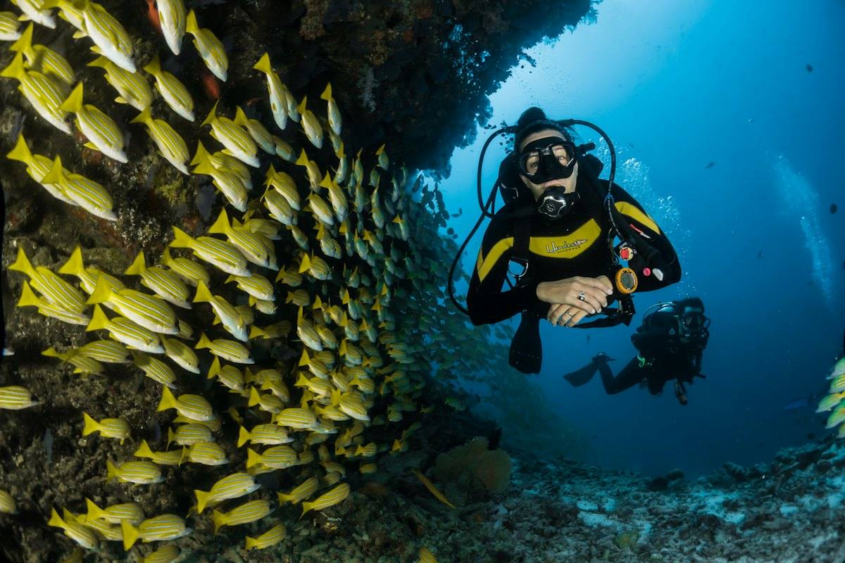 Buceo entre peces en el arrecife